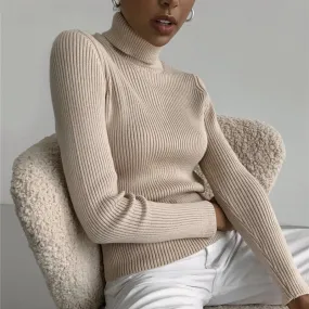 Basic Turtleneck Knitted Top