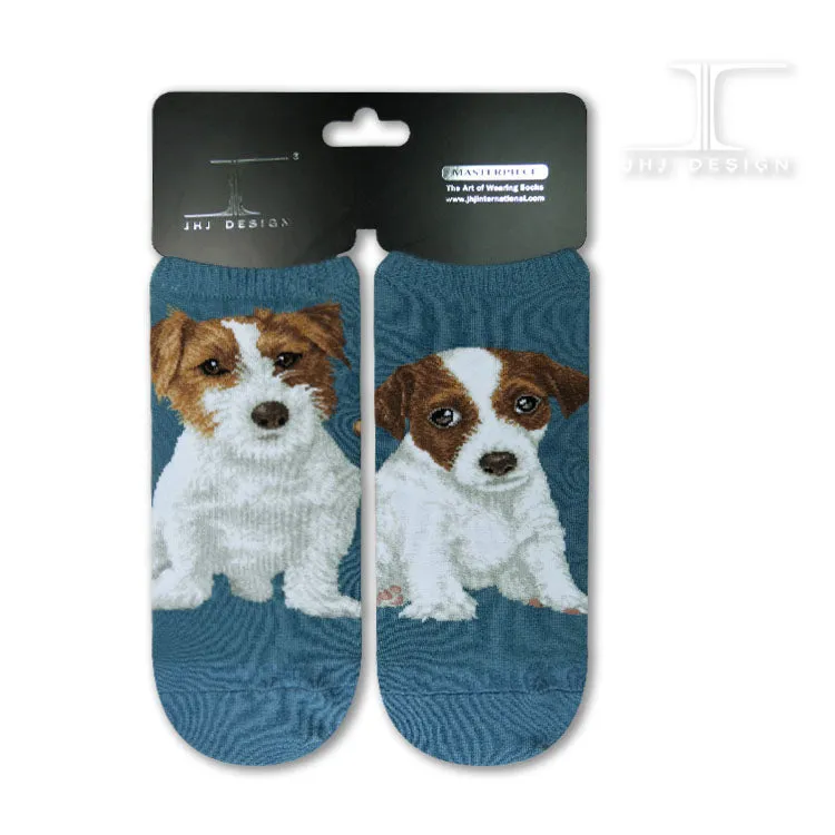 Dog Ankles - Jack Russell Terrier