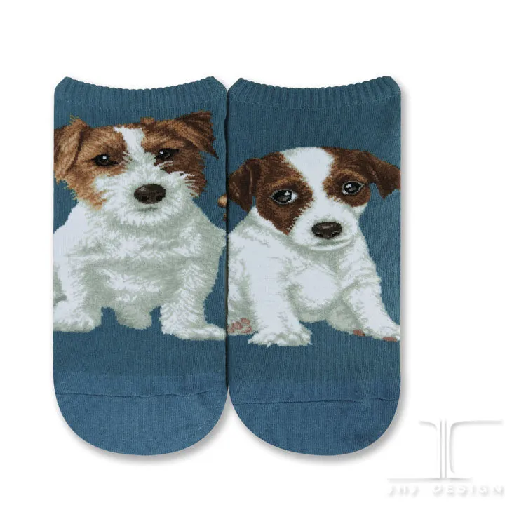 Dog Ankles - Jack Russell Terrier