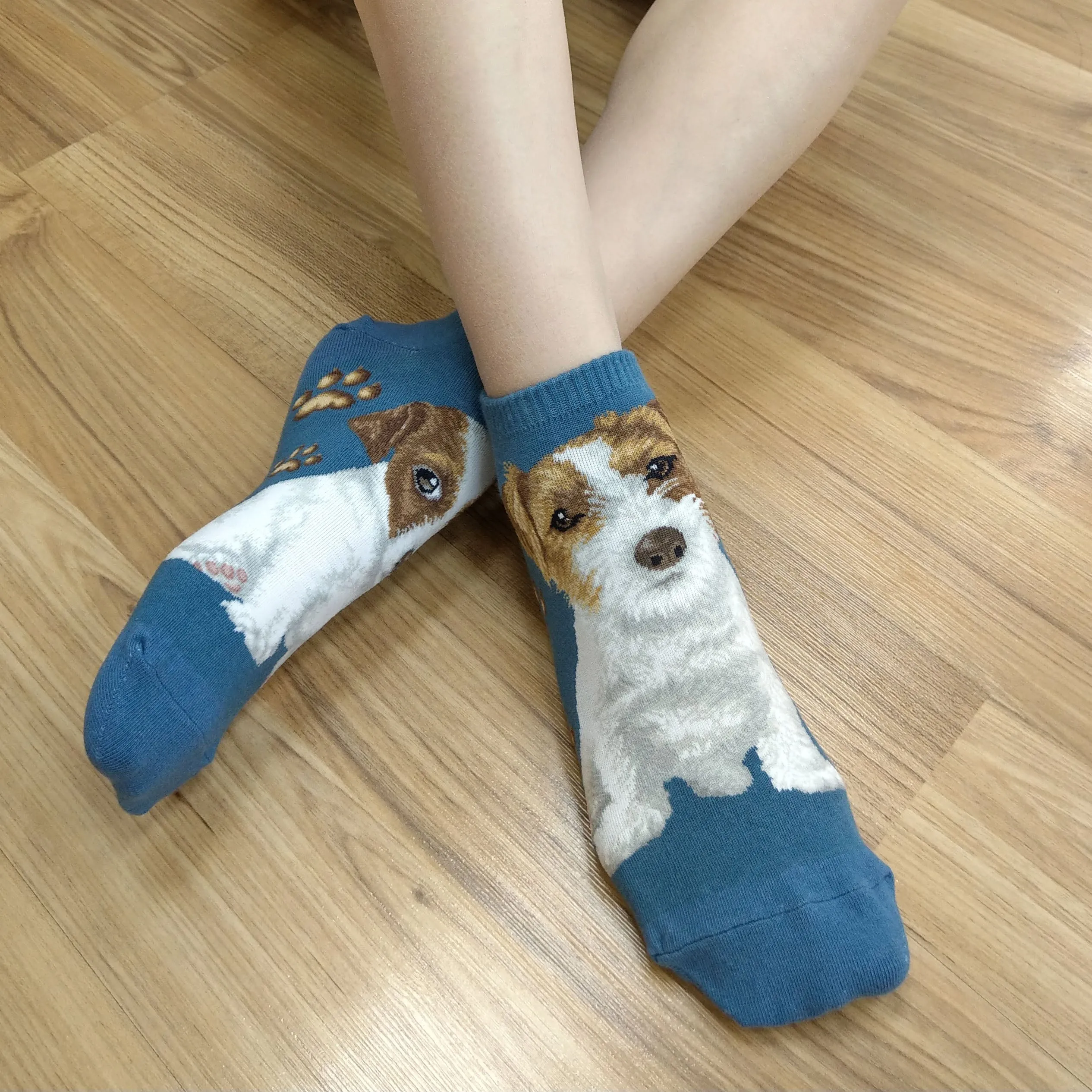 Dog Ankles - Jack Russell Terrier