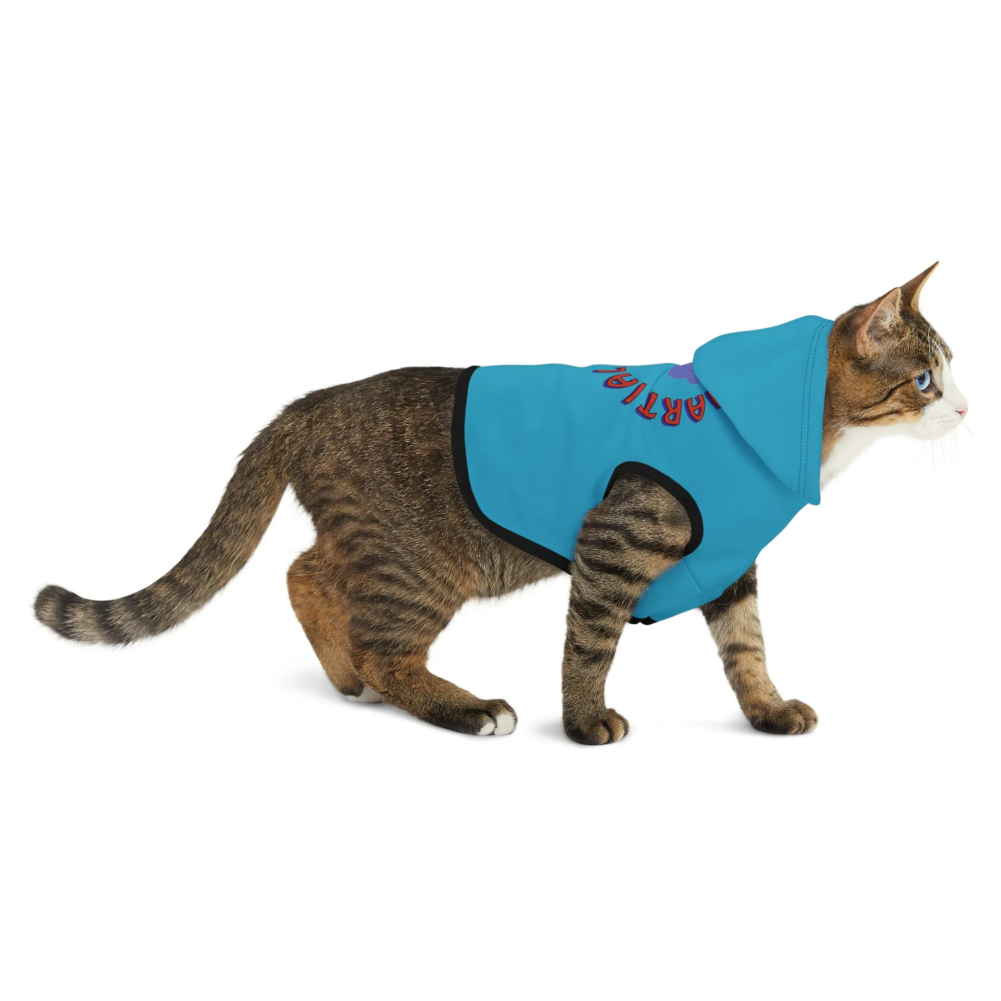 Link's Martial Arts Logo Pet Hoodie