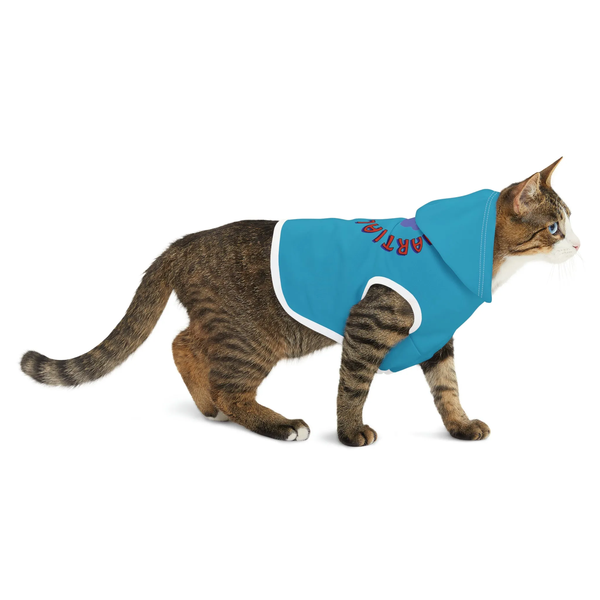 Link's Martial Arts Logo Pet Hoodie