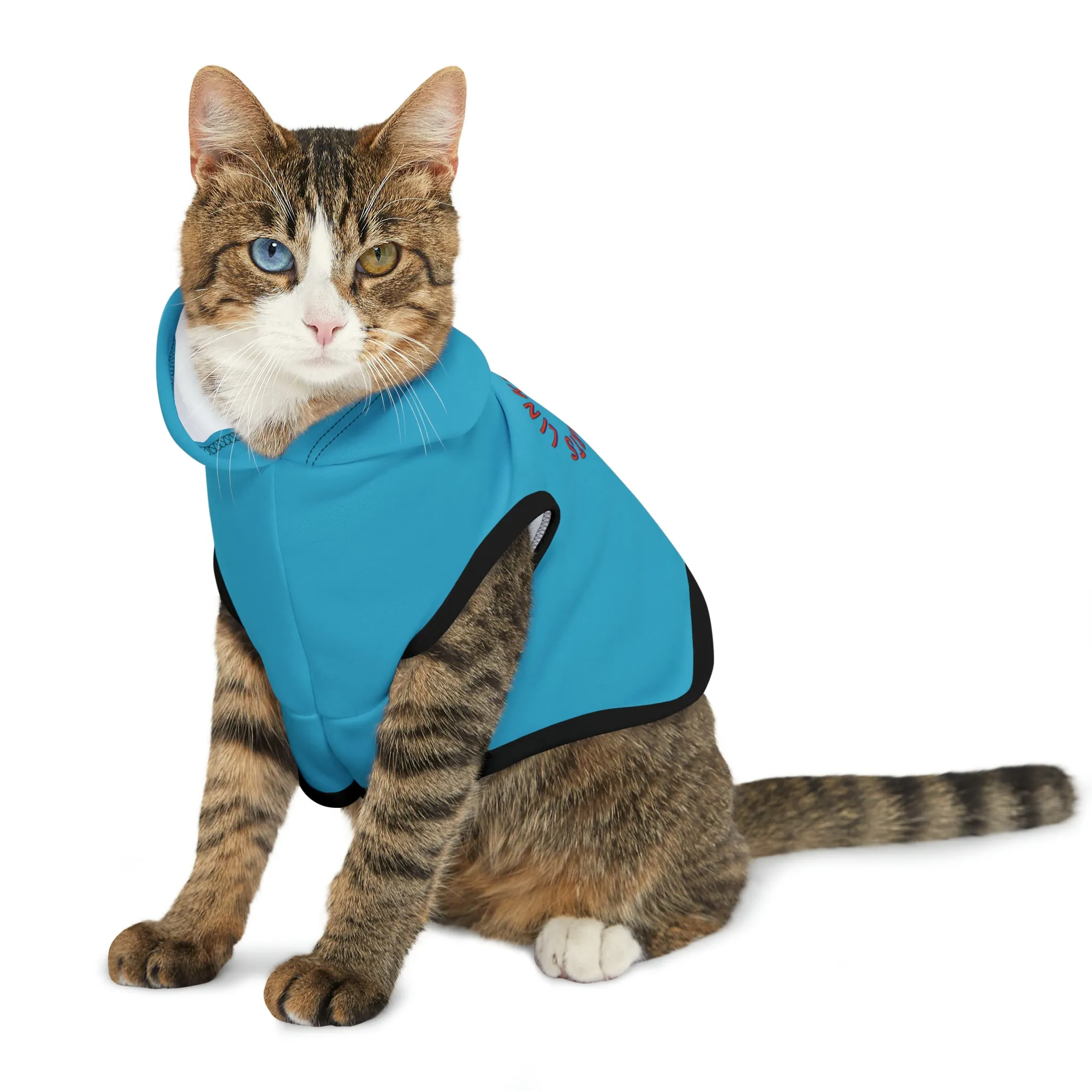 Link's Martial Arts Logo Pet Hoodie