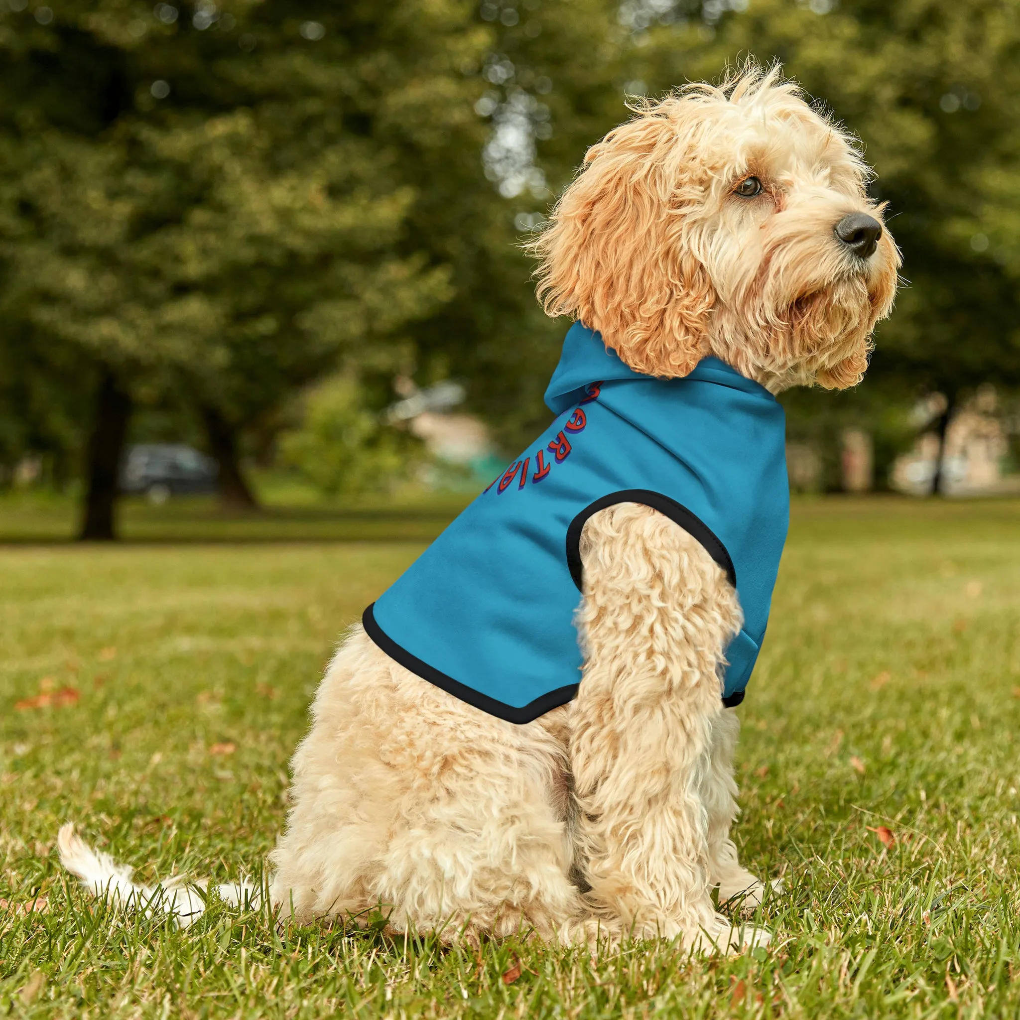 Link's Martial Arts Logo Pet Hoodie