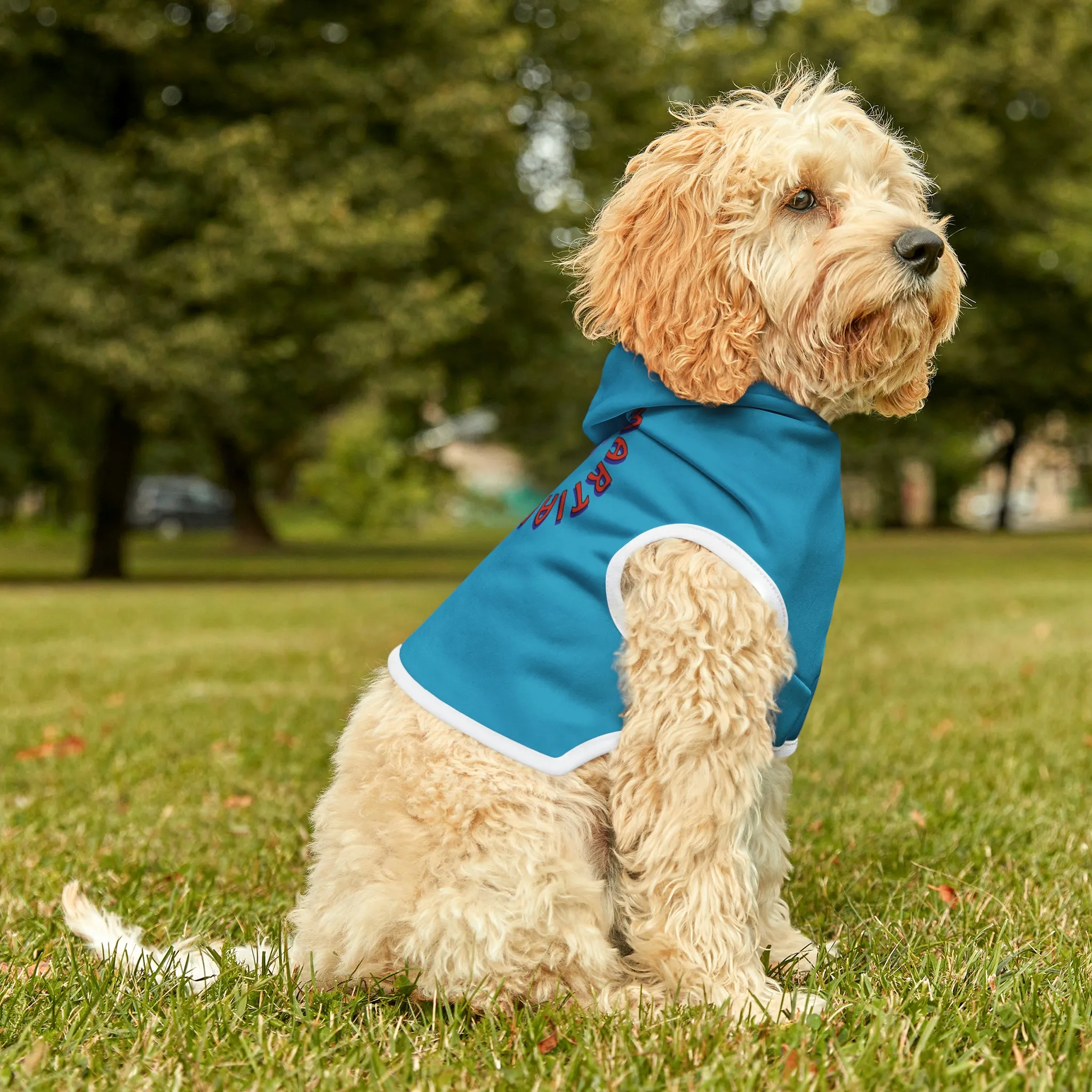 Link's Martial Arts Logo Pet Hoodie