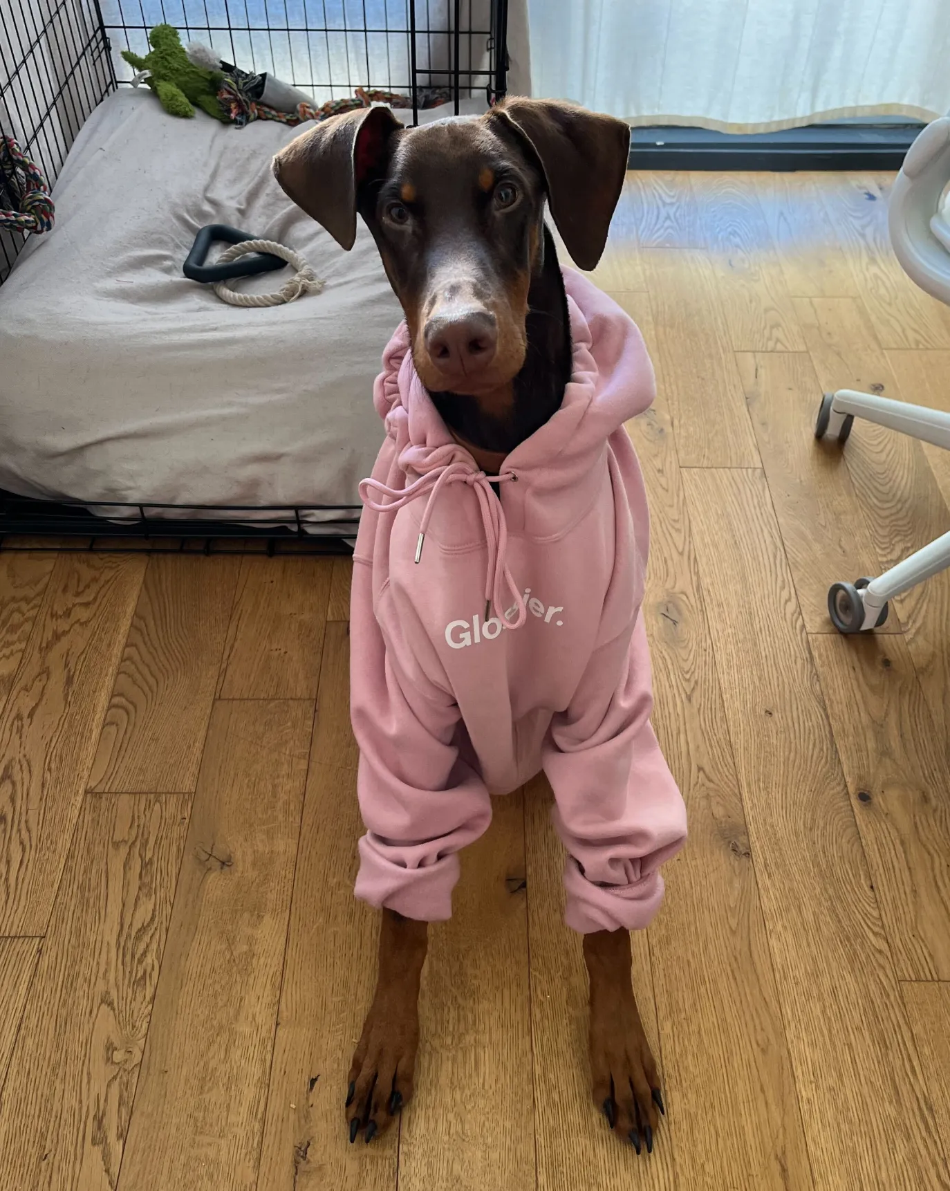 Original Pink Hoodie